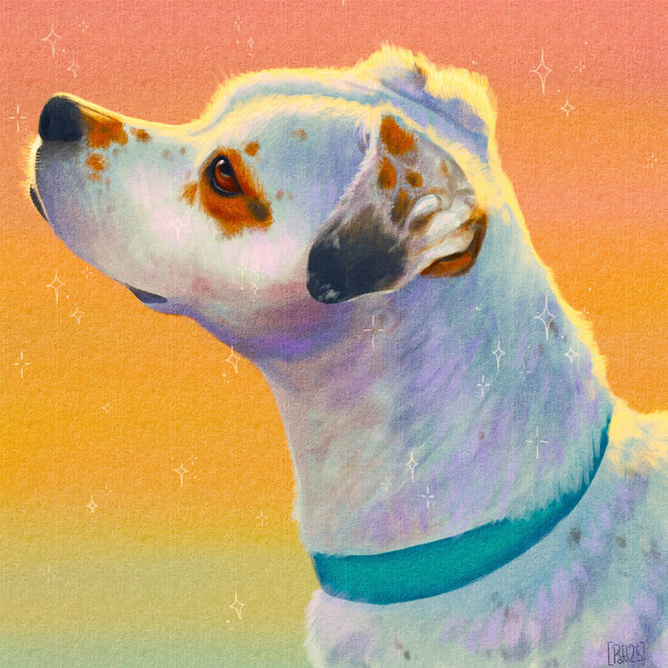Pet Portrait Pet Portrait
